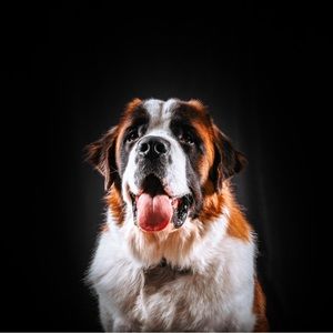 Meet your Posher, Lily-rose